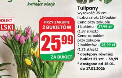 Tulipany 15 szt. bukiet promocja w Dino