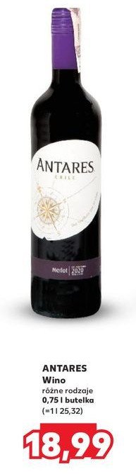 Wino Antares merlot promocja w Kaufland