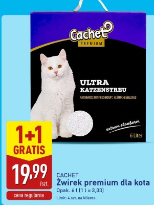 Żwirek premium dla kota Cachet promocja w Aldi