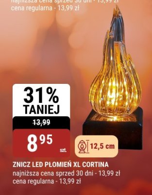 Znicz promocja w bi1