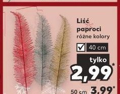 Li艣膰 paproci 50 cm promocja