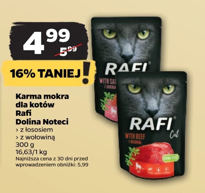 Karma dla kota z łososiem Rafi cat promocja