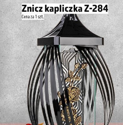 Znicz promocja w TOPAZ
