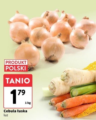 Cebula łuska promocja w Intermarche