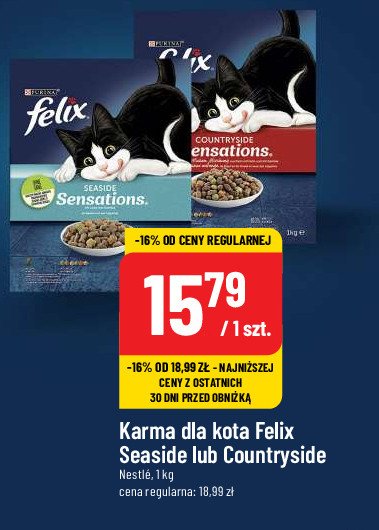 Karma dla kota z łososiem Purina felix sensations promocja