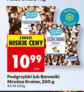 Podgrzybki 250 g promocja w Biedronka
