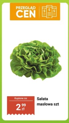 Sałata masłowa szt promocja w Dino