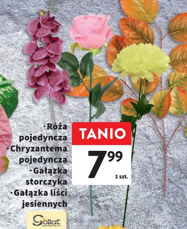 Ga艂膮zka li艣ci jesiennych Goliat promocja
