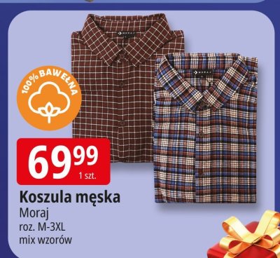 Koszula męska Moraj promocja w Leclerc