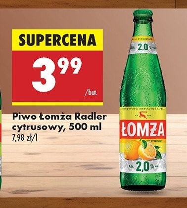 Piwo Łomża radler cytrusowy promocja w Selgros