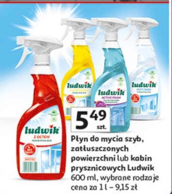 Płyn do mycia szyb, zaluszczonych powierzchni lub kabin prysznicowych Ludwik promocja w Auchan
