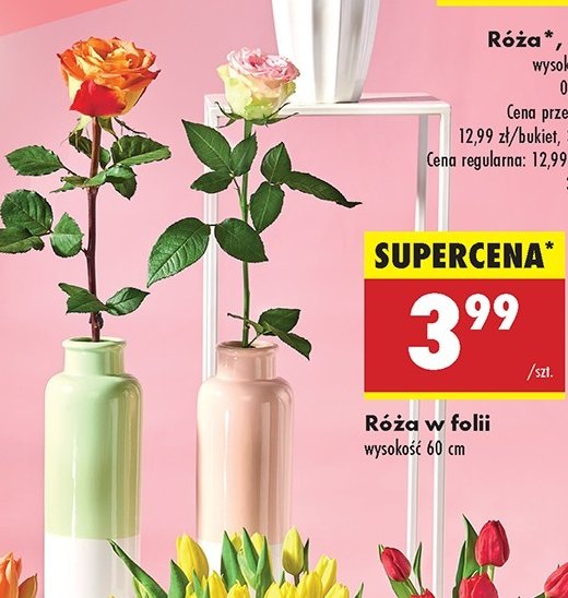 R贸偶a w folii promocja