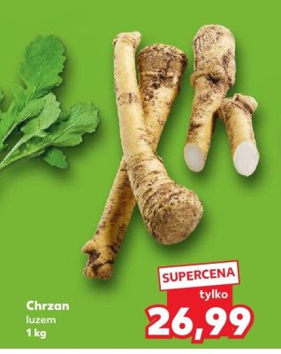Chrzan luzem 1 kg promocja w Kaufland