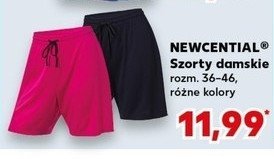 Szorty damskie 36-46 Newcential promocja