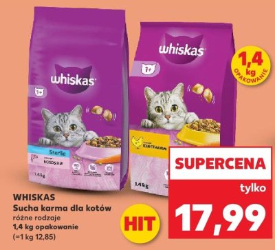 Sucha karma dla kotów różne rodzaje Whiskas promocja w Kaufland