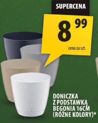 Doniczka z podstawką Begonia 3 16cm różne kolory promocja w Arhelan
