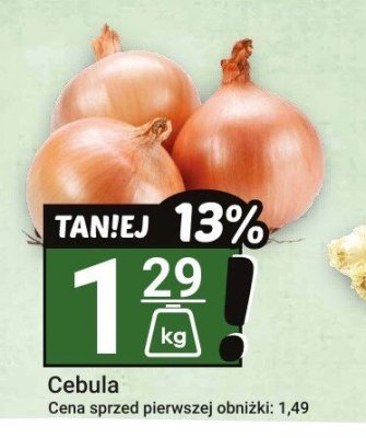 Cebula promocja w Hitpol