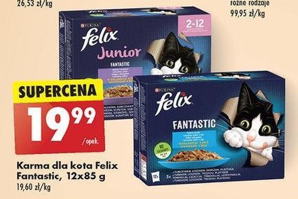 Karma dla kota rybne smaki Purina felix fantastic duo promocja w Biedronka
