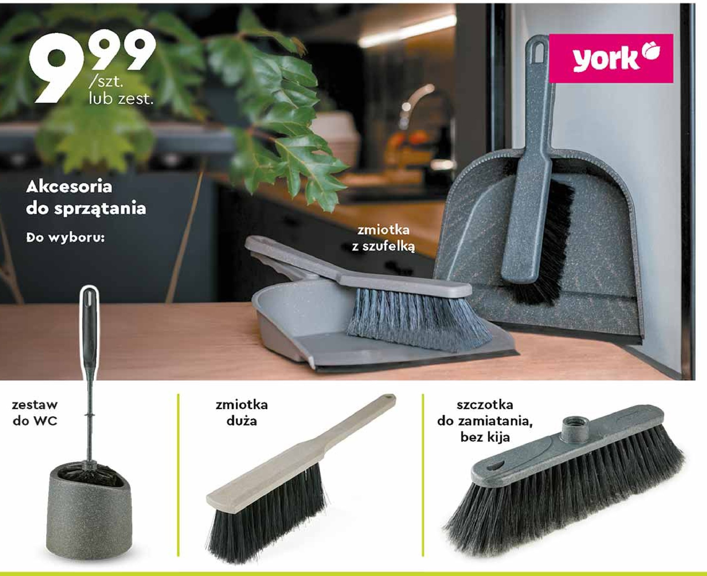 Zmiotka du偶a York promocja