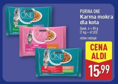 Karma dla kota junior z kurczakiem i marchewką Purina one promocja