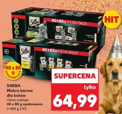 Mokra karma dla kotów różne rodzaje promocja w Kaufland