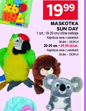 Maskotka koala 18 cm Sun-day promocja
