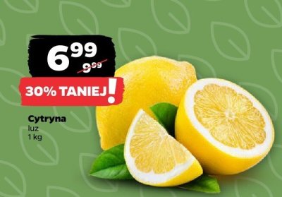 Cytryna luz promocja w Netto