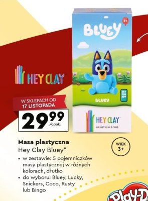 Masa plastyczna Bluey, różne zestawy promocja w Biedronka