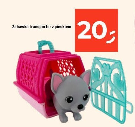 Transporter dla zwierząt promocja w Dealz