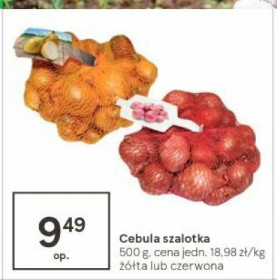 Cebula szalotka czerwona promocja