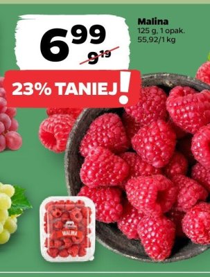 Malina 125 g promocja w Netto