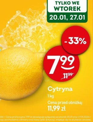Cytryna  promocja w Żabka