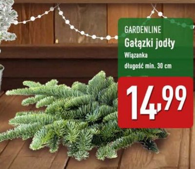 Gałązki jodły  promocja w Aldi