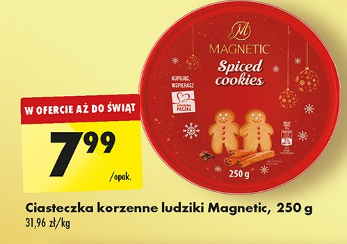 Figurki korzenne Magnetic promocja w Biedronka