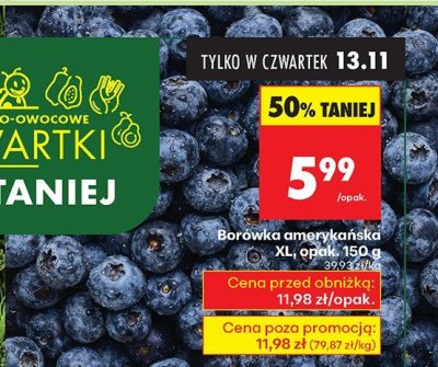 Borówka amerykańska XXL promocja w Biedronka