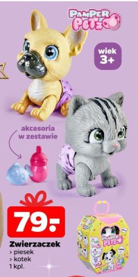 Zwierzaczek kotek promocja w Netto