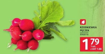 Rzodkiewka pęczek promocja w Selgros