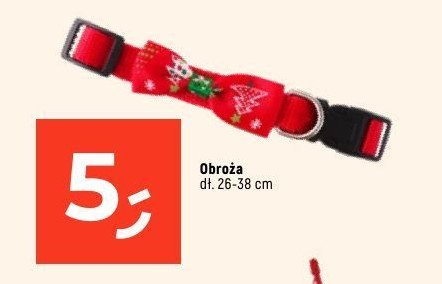 Obroża dla psa 26-38 cm promocja w Dealz