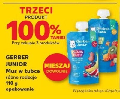 Mus w kubce GERBER JUNIOR różne rodzaje 110 g promocja w Kaufland