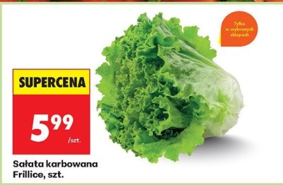 Sałata karbowana Frillice promocja w Biedronka