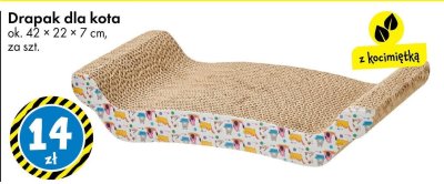 Drapak dla kota z kocimiętką promocja w Tedi