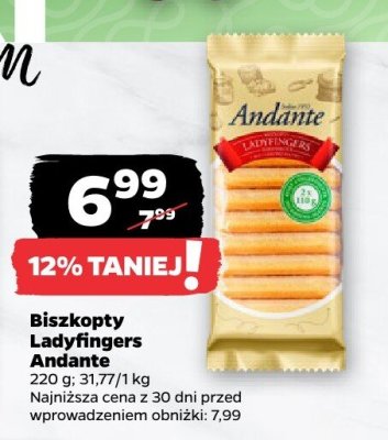 Biszkopty Ladyfingers promocja w Netto