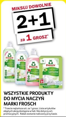 Płyn do mycia naczyń Frosch aloesowy promocja w Selgros