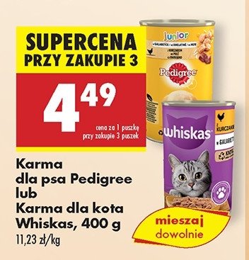 Karma dla kota z kurczakiem w sosie Whiskas promocja