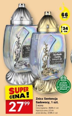Znicz Sentencja Sadowscy, 1 szt. promocja w Twój Market