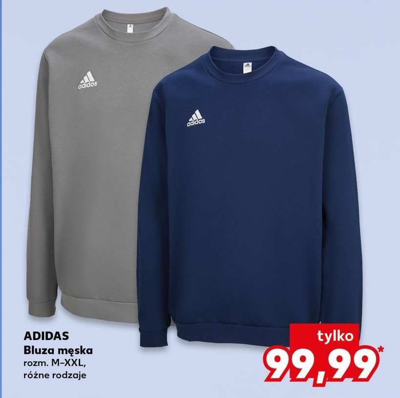 Bluza męska m-xxl Adidas promocja