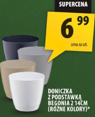 Doniczka z podstawką Begonia 2 14cm różne kolory promocja w Arhelan