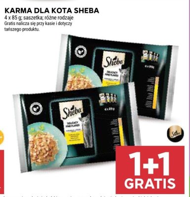 Karma dla kota Sheba promocja w Stokrotka