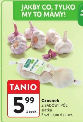 Czosnek promocja w Intermarche