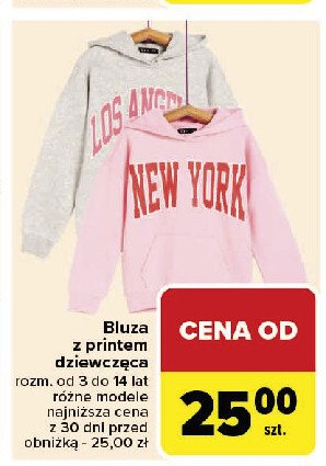 Bluza dziewczęca 3-14 lat promocja w Carrefour Market